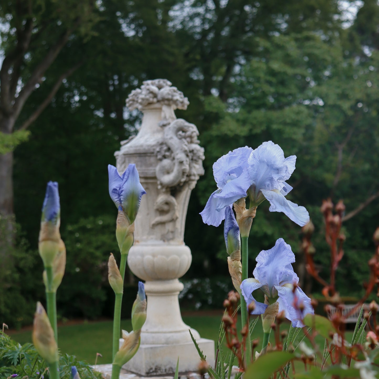 Ruins in Bloom